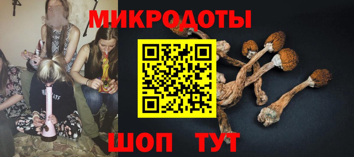 Нижнекамск  Галлюциногенные грибы Psilocybine cubensis  Вход с VPN  Галлюциногенные грибы мицелий 